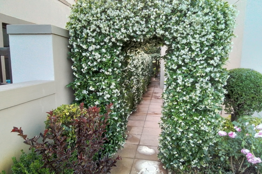 3 Bedroom Property for Sale in Boschenmeer Golf Country Estate Western Cape